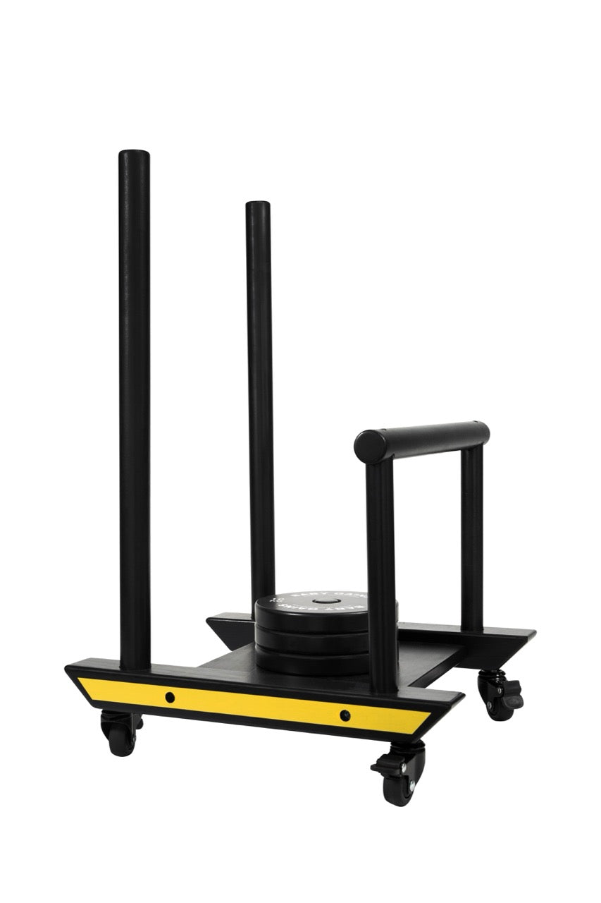 Kids Power Sled [walker] Baby Gains