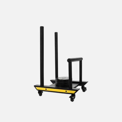 Kids Power Sled [walker] Baby Gains