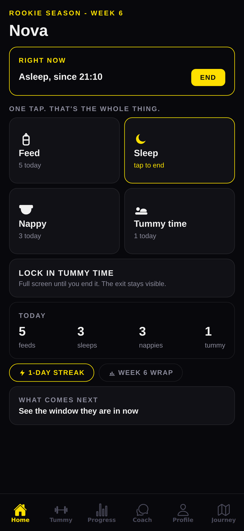 The Rookie Season home screen, showing today’s sheet for feeds, sleeps, nappies and tummy time